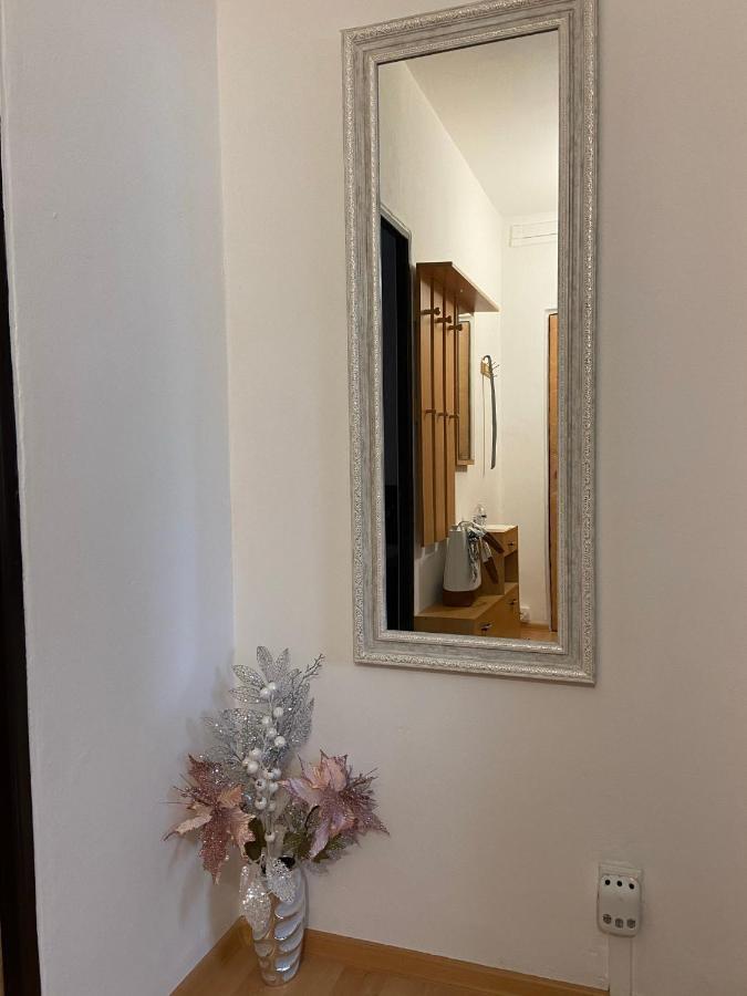 אולומוץ Apartment Fialka מראה חיצוני תמונה